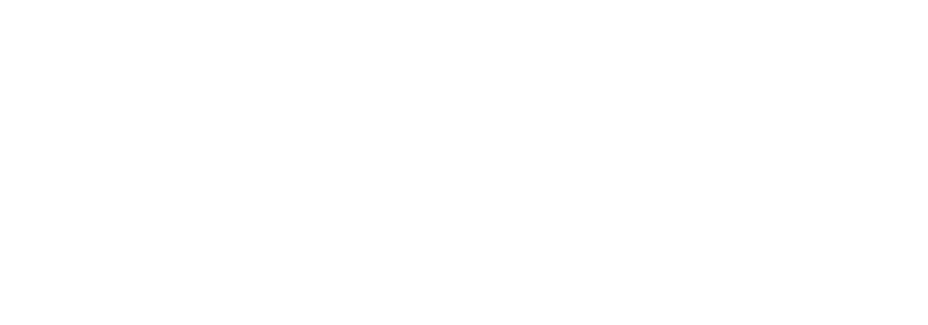 Lafayette Consolidated Government logo